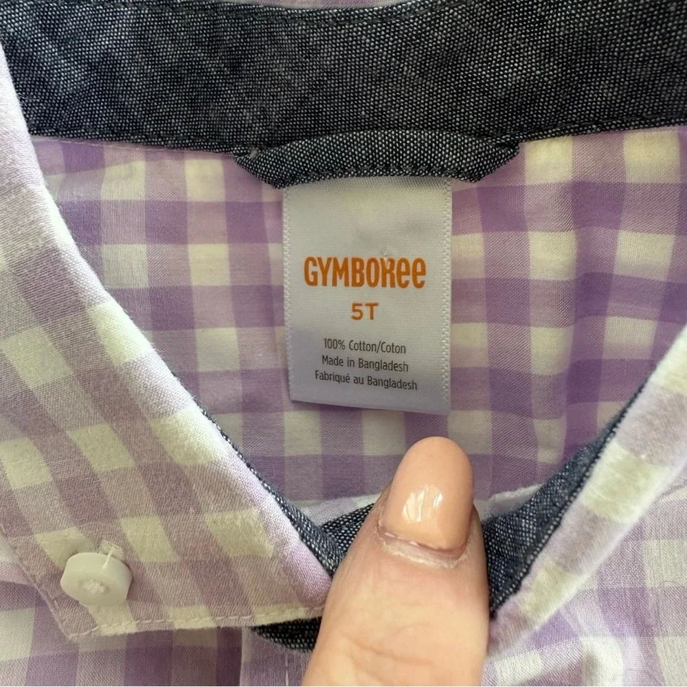 Gymboree Gingham Dress Shirt